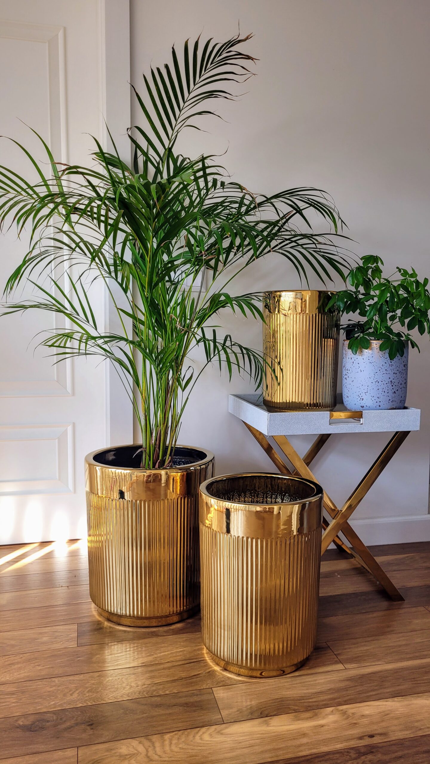 20240423_171237 zestaw-trzech-donic-zlote-prazkowane-zdobienie-duze-poluskujaca-powierzchnia